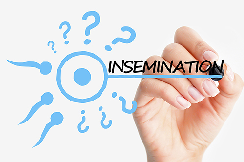 Внутриматочное искусственное оплодотворение