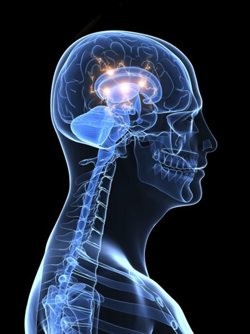 Причины выпадения волос